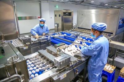 華蘭生物董事長安康 研發(fā)不斷前行，新型疫苗與生物制品蓄勢(shì)待發(fā)