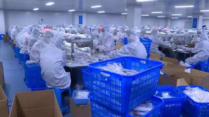 燃起來 | “虎”力全開 生物制品生產(chǎn)的“開工即決戰(zhàn)”之路