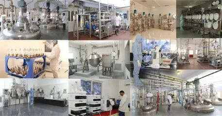 印度生物科技巨頭開啟新篇章 世界級免疫抑制劑生產(chǎn)商啟動IPO